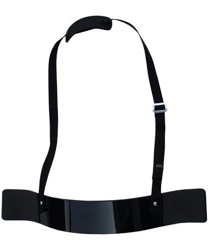 C.P.Sports Bizeps-Blaster